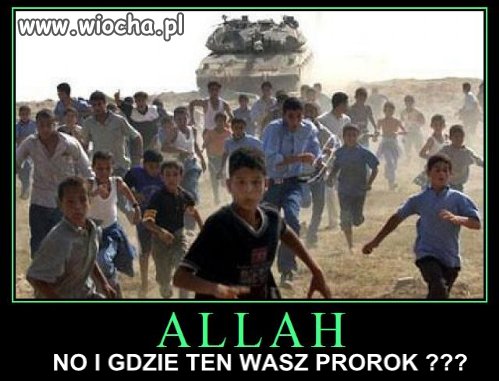 Jedyna słuszna pomoc dla muzułmanów