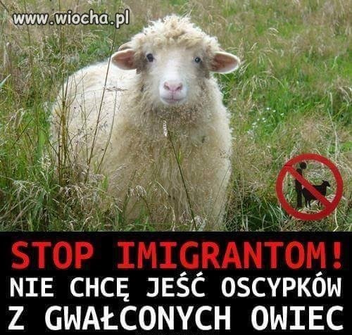 Padłem jak to zobaczyłem!