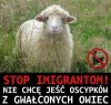 Padłem jak to zobaczyłem!