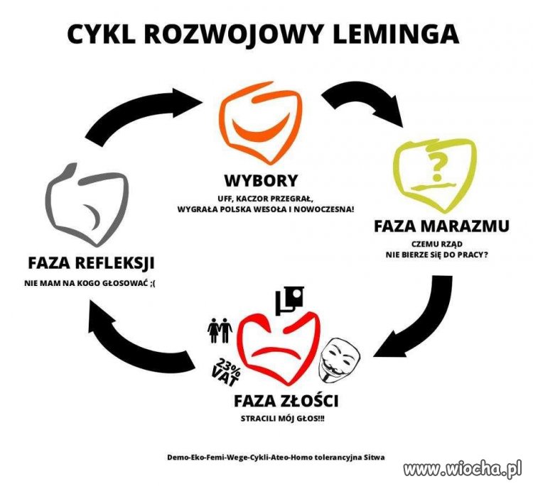 Cykl rozwojowy leminga