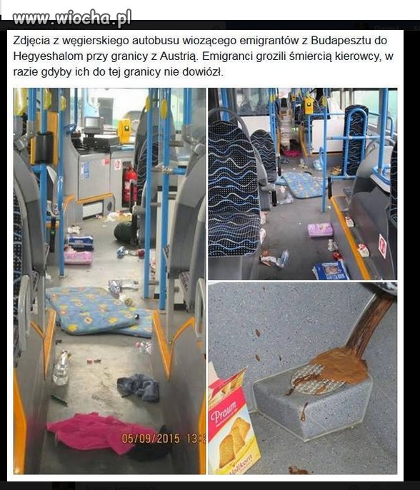 I po co Oni nam w Europie ?