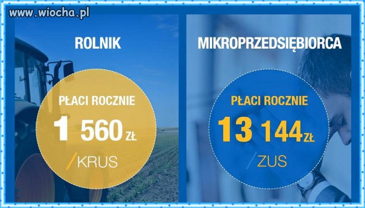 Czyż nie jest to