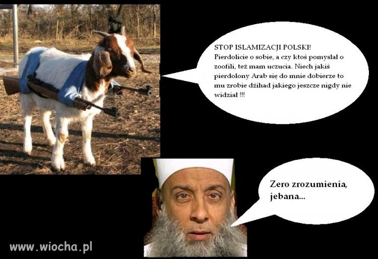 Zero zrozumienia.