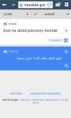 Przywitanie nowych uchodźców muzułmańskich 