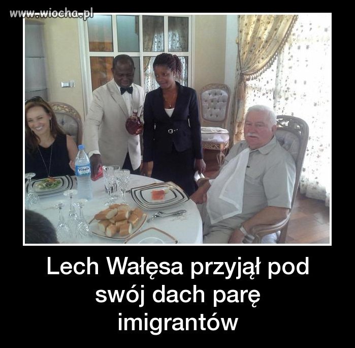 Wygląda raczej