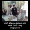 Wygląda raczej