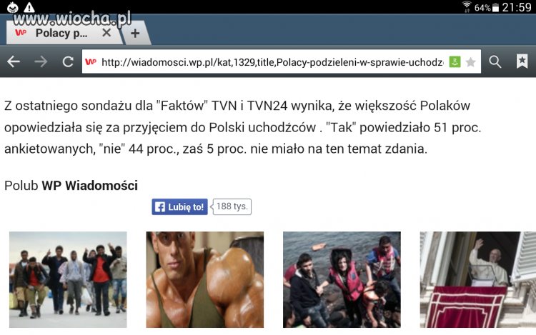 Polub wp wiadomości wp jeżeli mózg masz ze styropianu