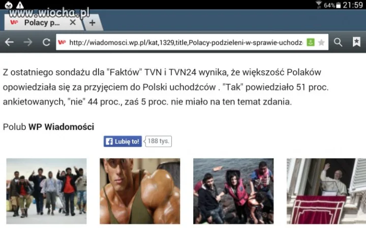 Polub wp wiadomości wp jeżeli mózg masz ze styropianu
