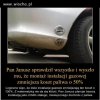 Sprytny Janusz
