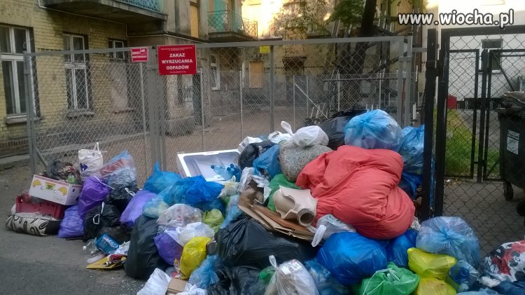 Zakaz wyrzucania odpadów 