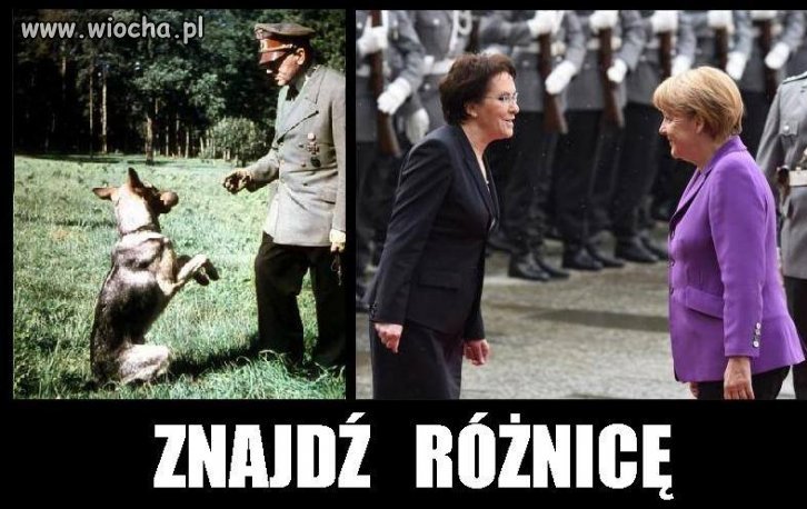 Znajdź różnicę ...