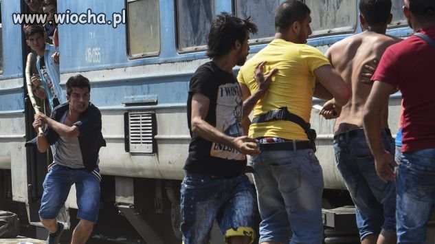 Imigranci walczą, by dostać się do pociągu 