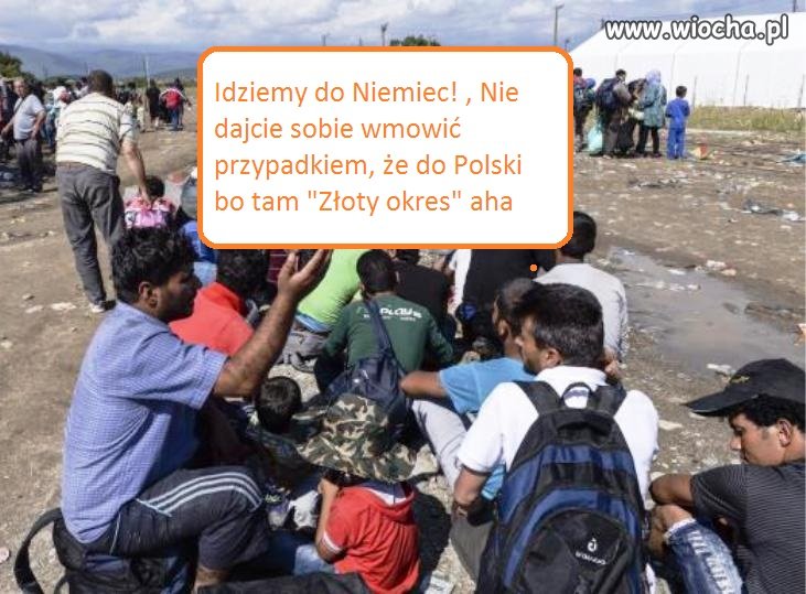 Nawet uchodźcy nie wierzą w Złoty Okres Polski