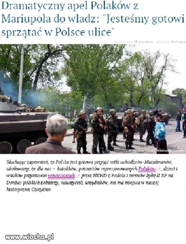 Megawiocha dla tych, co chcą ściągać muzułmanów,