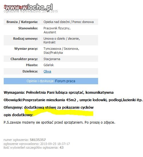 Oferta pracy