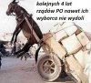 Lemingu ile jeszcze dasz radę?