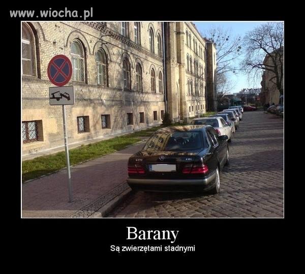 Barany