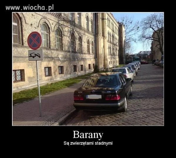 Barany