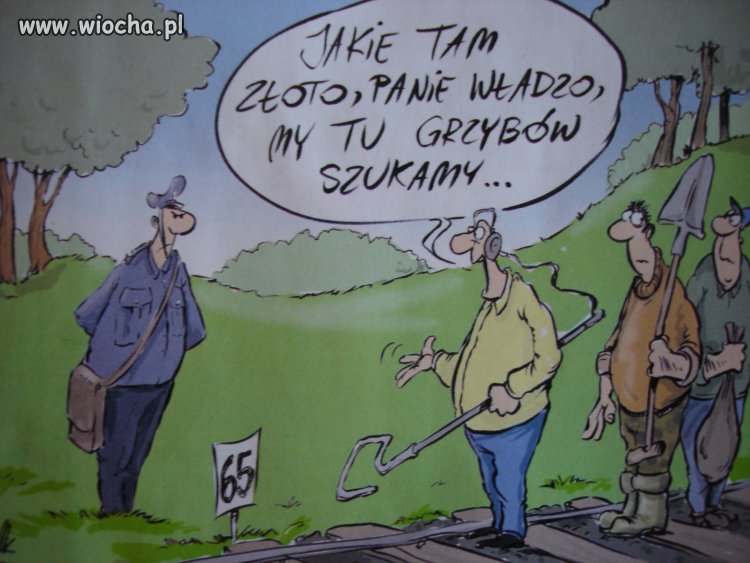 Zakaz wejścia do lasów