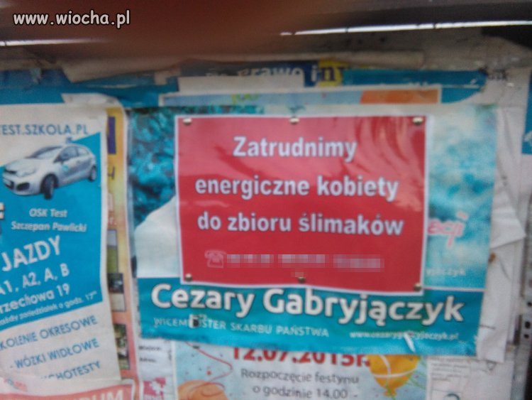 Takie ogłoszenie