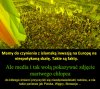 Takie są fakty