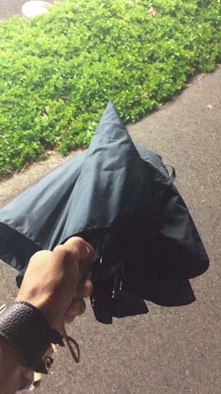 Chiński parasol