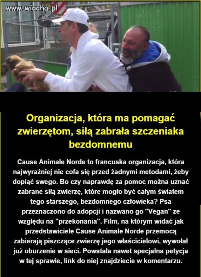 Ku*wy a nie ludzie.