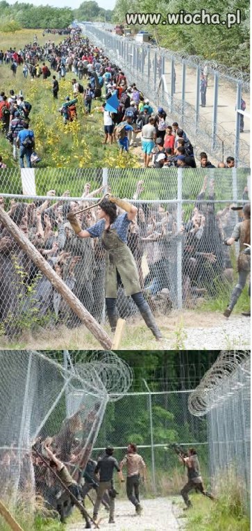 Imigranci