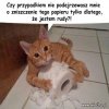 Taka sytuacja...