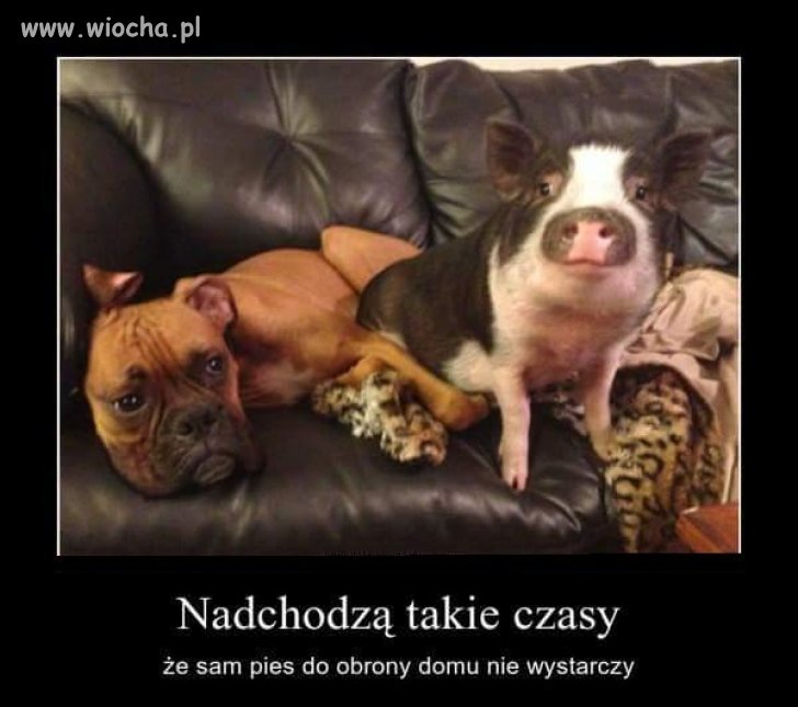 Taka sytuacja...
