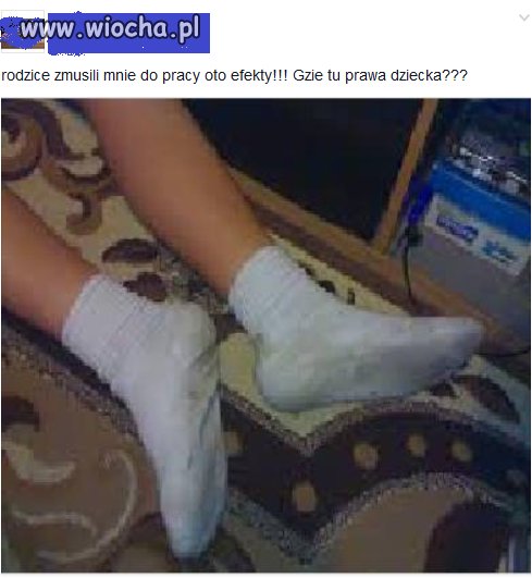 Gimbusy na Facebooku