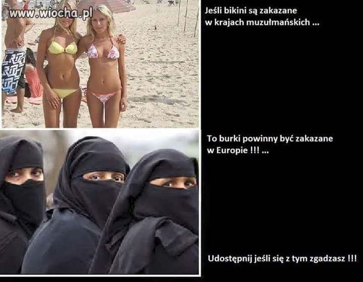 Brak 