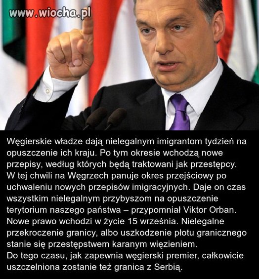 Węgry powołały Ochotniczą Straż Graniczną 