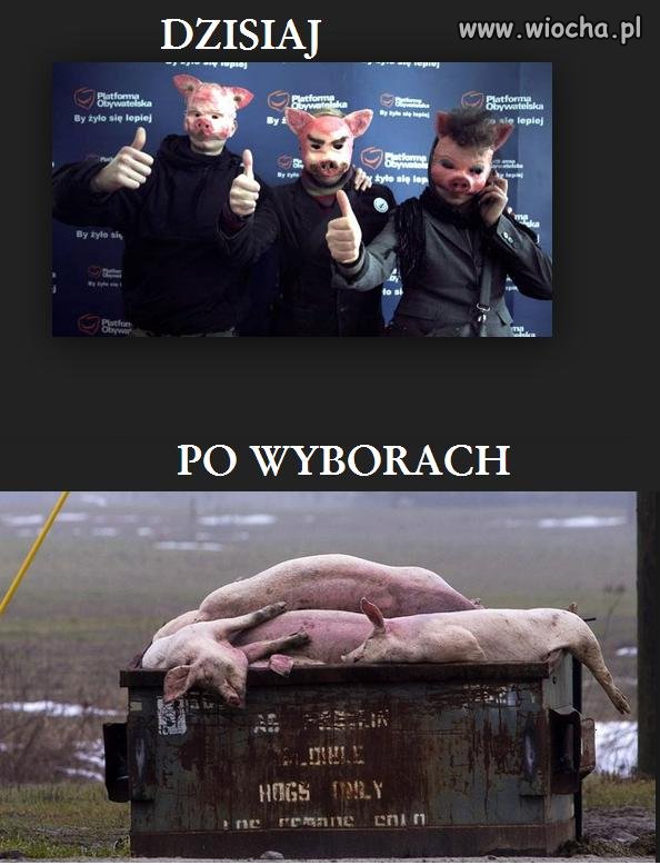 Polacy już wiedzą jak głosować.