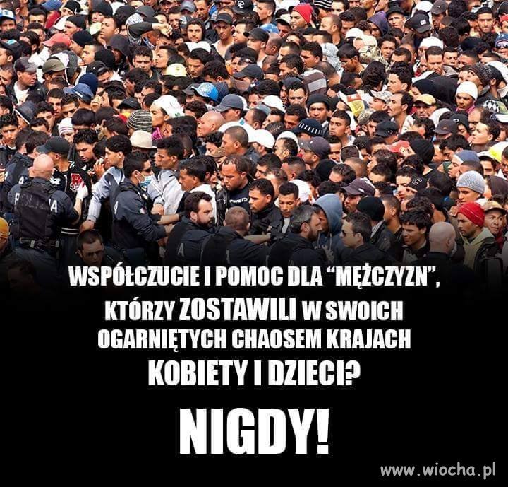 Nie ! Wypasionym nierobom, którzy nie mają jaj