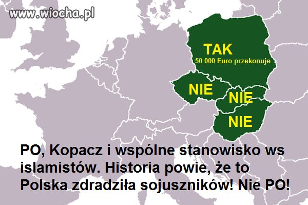 ZERO myślenia! tylko KASA, KASA, KASA