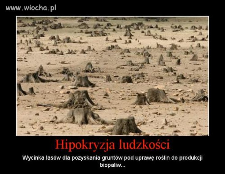 Chcemy być ekologiczni, niszcząc to co 