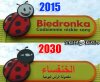 Biedronka