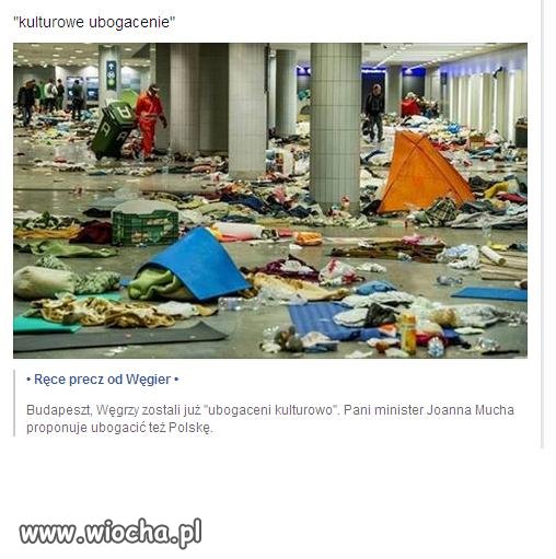 Budapeszt, Węgrzy zostali już "ubogaceni kulturowo"