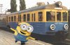 Polskie korzenie Minionków...