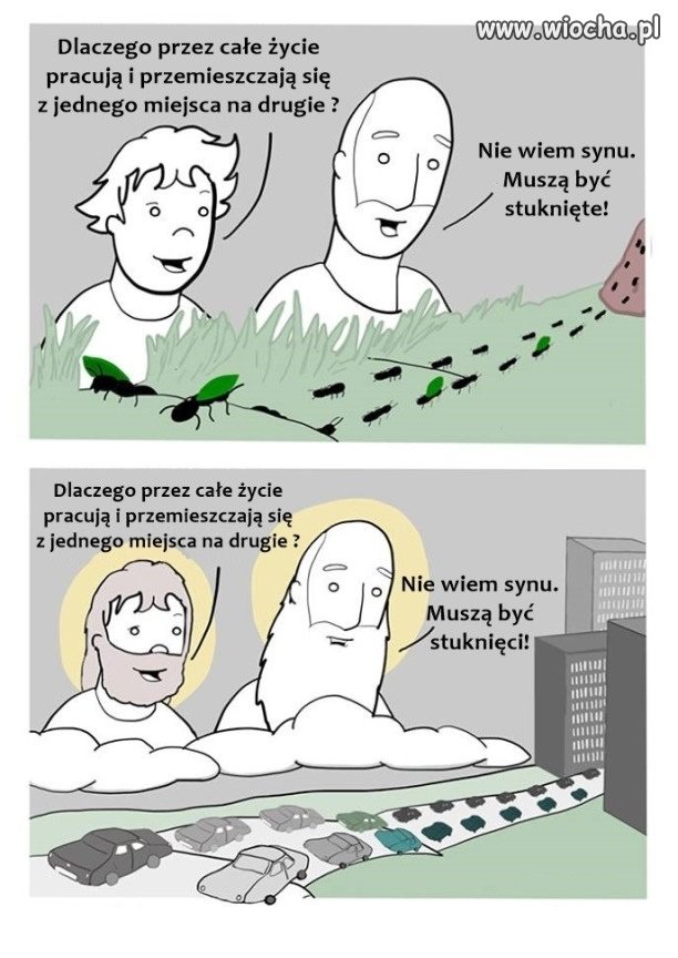 Muszą być stuknięci