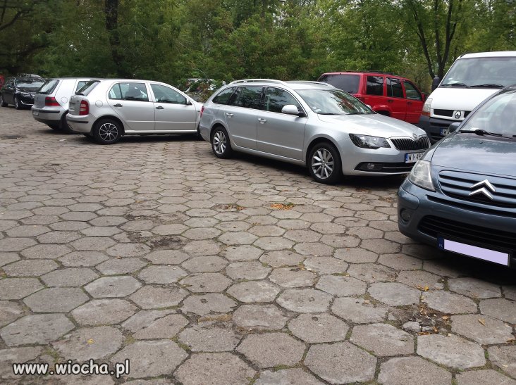 Wszyscy mogą zaparkować prostopadle