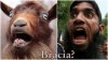 BRACIA