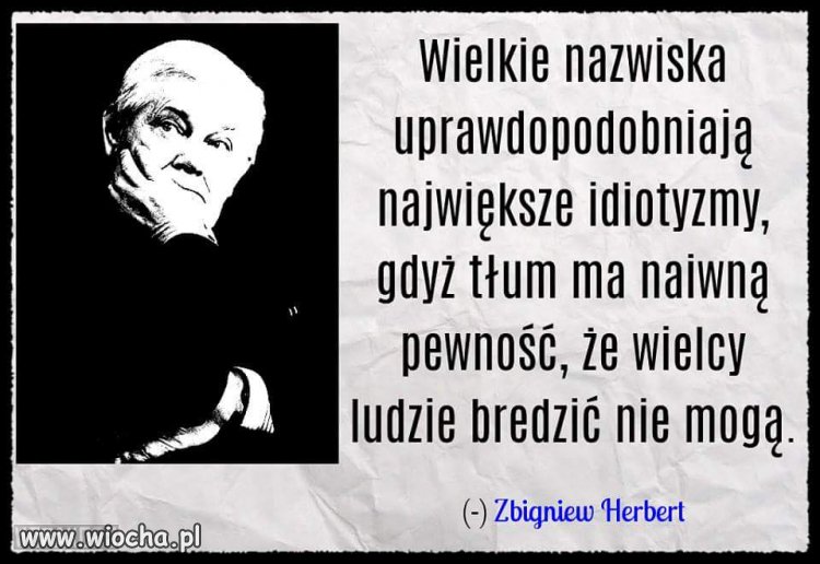 To widać na wiecach