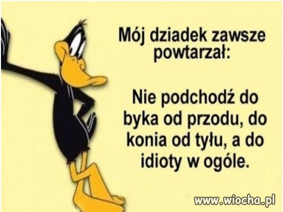 Wiedział co mówi
