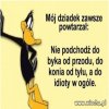 Wiedział co mówi