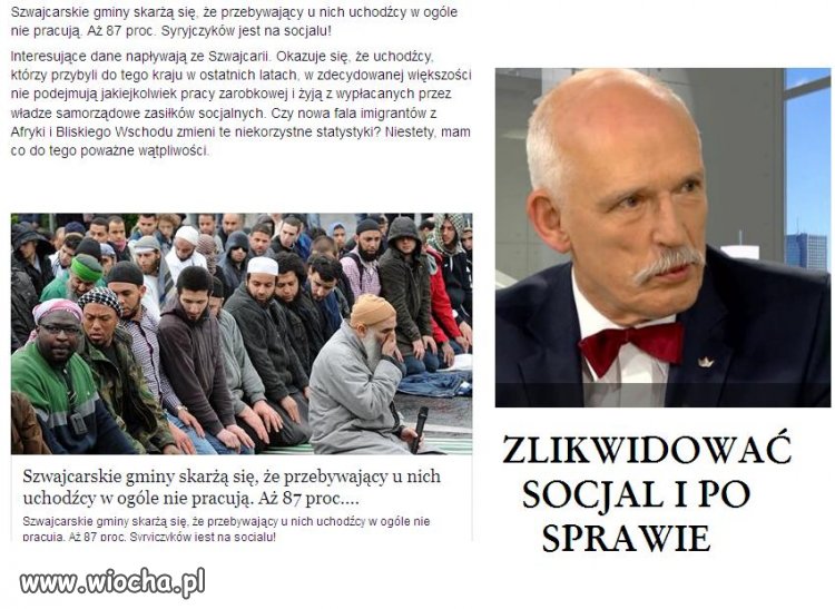 Zlikwidować socjal nieroby same wyjadą.