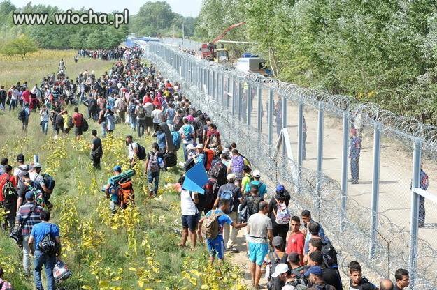 The Walking Dead