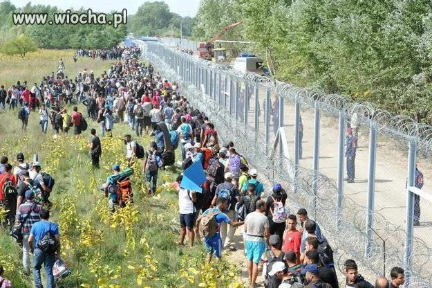 The Walking Dead