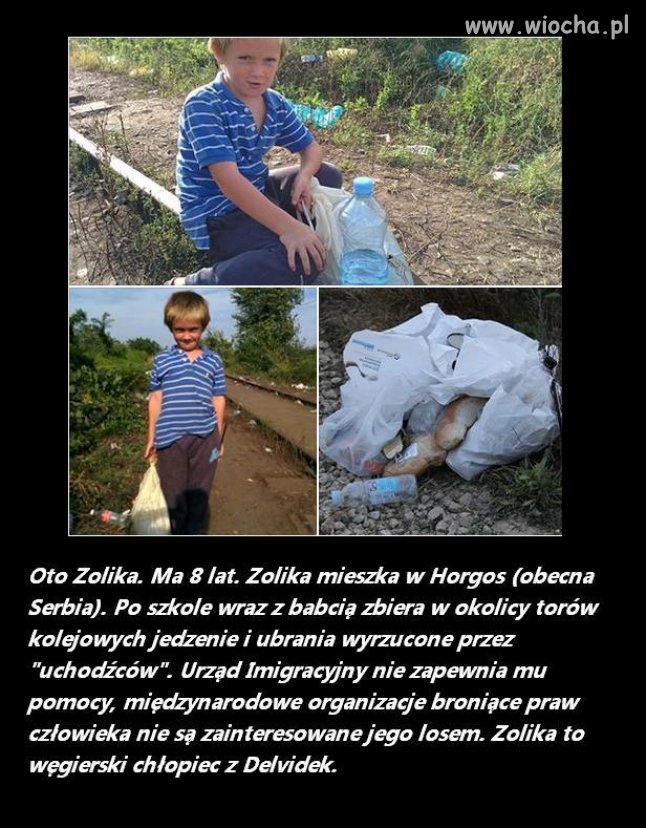 Naprawdę potrzebujący imigranci versus